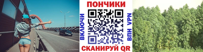 где купить наркоту кракен как зайти Шишки марихуана семена Верхняя Салда
